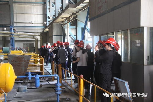 對標先進拓思路，鉬都利豪飯店管理人員及先進員工代表赴集團公司參觀學習酒店管理經驗